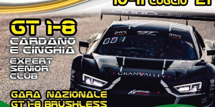 Campionato Italiano Gt 1-8 Cardano e Cinghia a Fontanellato
