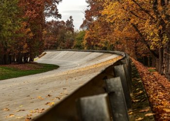 L’ambiente in primo piano al FORUM8 ACI Rally Monza