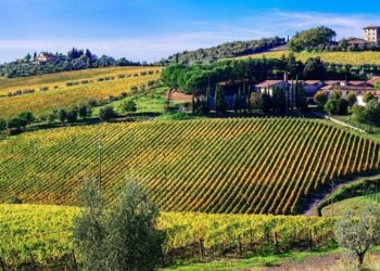 Prima edizione per il Tuscany Rally