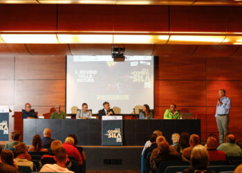 La 43a Coppa Sila apre il centenario della storica gara