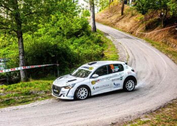 Fly Dream Team al Rally di Salsomaggiore Terme:  Alan Gualandi atteso su Peugeot 208 Rally4