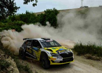 Alessandro Zorzi ritrova la terra al Rally Adriatico