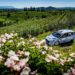 RALLY DEL FRIULI VENEZIA GIULIA/ALPI ORIENTALI: UN MODELLO VINCENTE DI SPORT E TERRITORIO