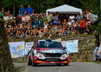 A Giuseppe Dipalma (Skoda Fabia RS)   il 62° Rally Valli Ossolane