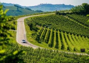 Le colline UNESCO abbracciano il Rally Regione Piemonte